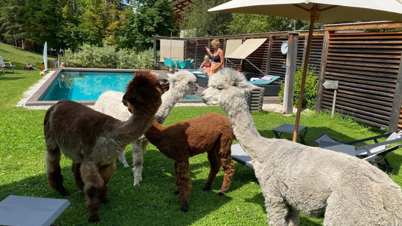 Dolomit Boutique Hotel 3*
